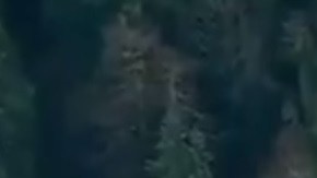 El accidente ocurrió a las 7:33 horas del lunes.