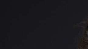 Ana de Armas vive un gran momento en su carrera.