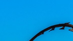 Jerusalén, en eterna disputa entre Palestina e Israel.