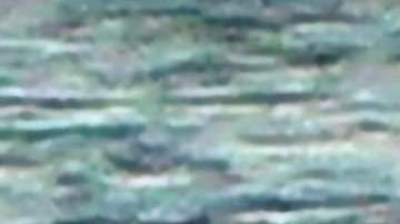 Scott Disick y Sofia Richie.