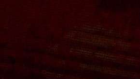 Bono, vocalista de U2.