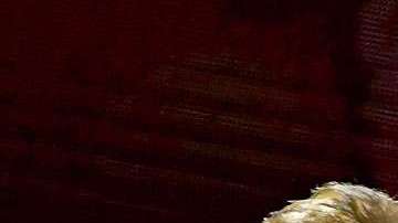 Bono, vocalista de U2.