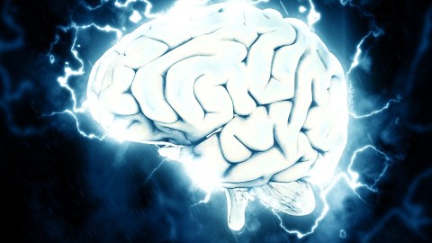El cerebro no deja de sorprendernos.