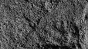 El fósil parece mucho al casco de Darth Vader.