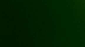 Las garrapatas pueden transmitir muchas enfermedades.