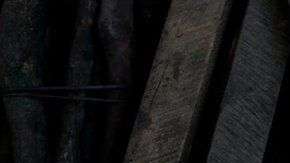 Más de 1,4 millones de personas escaparon de la violencia tras estallar el conflicto en República Democrática del Congo.