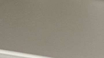 Si no hablas, el jefe no te oirá.