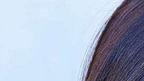 Dayanara Torres