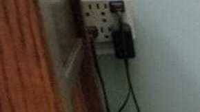 Tres cervatillos se intenta proteger de la tormenta en el interior de una vivienda