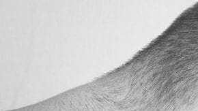 Padre e hijo en una imagen muy entrañable.