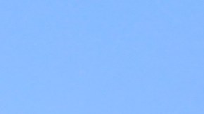 NYPD en El Bronx/Archivo.