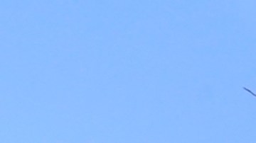 NYPD en El Bronx/Archivo.