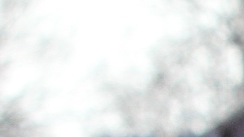 Bomberos y policias investigan el  incendio de Avenida Prospect en el Bronx.