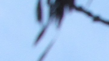 Se les acusa de traficar en complejos de vivienda pública