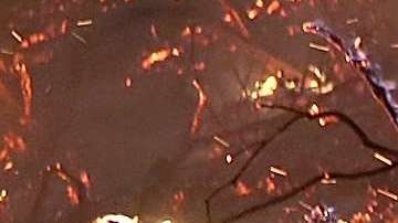 De acuerdo con el Centro Interagencial Nacional de Incendios. en lo que va del año, casi 58,000 incendios forestales han quemado más de 9 millones de acres en los EEUU.