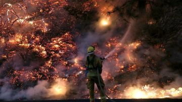 De acuerdo con el Centro Interagencial Nacional de Incendios. en lo que va del año, casi 58,000 incendios forestales han quemado más de 9 millones de acres en los EEUU.