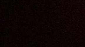 A Trump y todo su equipo le ofrecieron acceso a los documentos pirateados de Wikileaks