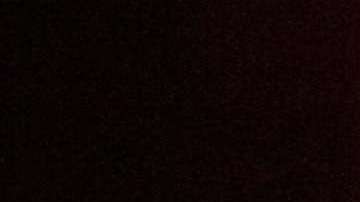 A Trump y todo su equipo le ofrecieron acceso a los documentos pirateados de Wikileaks