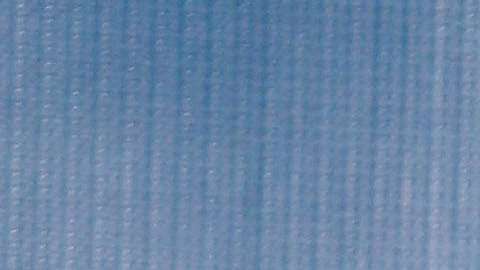 Pamela Anderson dice que en Hollywood todos deberían utilizar el sentido común.