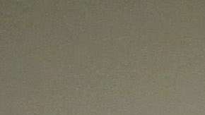 Director de USCIS quiere acabar, al igual que Trump, con la inmigración en cadena