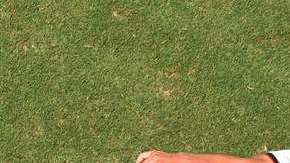 En Brasil 2014, Alemania debutó con un triunfo 4-0 sobre Portugal