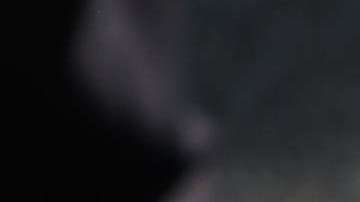 Pilotos alemanes se niegan a participar de la deportaciones de inmigrantes y refugiados