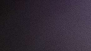 Procrearse solo con miembros de la raza blanca es su objetivo