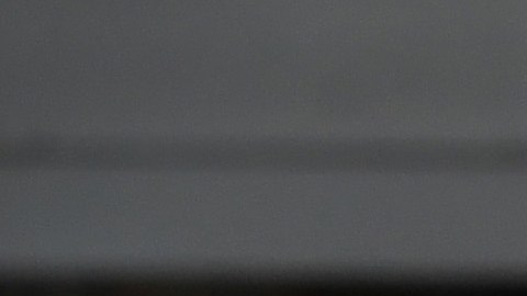 La orden ejecutiva del presidente Trump desató movilizaciones de activistas.