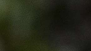 El congresista republicano Trent Franks renuncia por las denuncias de acoso sexual en su contra