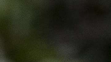 El congresista republicano Trent Franks renuncia por las denuncias de acoso sexual en su contra