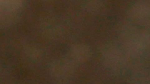 Una estación de tren llevará el nombre del presidente Trump.