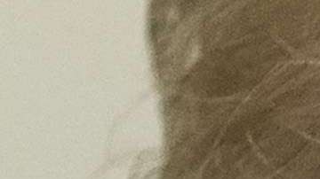 Avanzan las pesquisas sobre el "rusiagate"