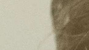 Avanzan las pesquisas sobre el "rusiagate"