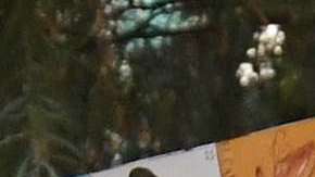 La oferta de la Casa Blanca para negociar la permanencia de DACA es inadmisible.