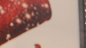 El 20 de noviembre, Steyer presentó la campaña en Times Square.