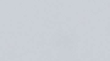 La Casa Blanca no se ha pronunciado sobre el hecho