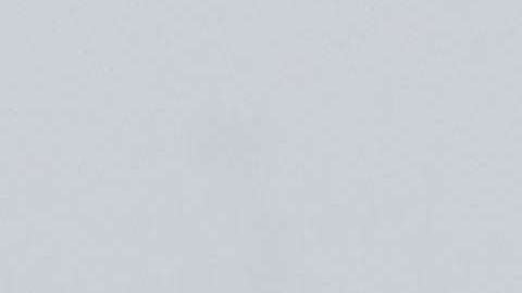 La Casa Blanca no se ha pronunciado sobre el hecho