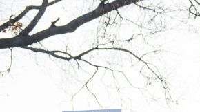 Protesta contra la ley fiscal de Trump ante el Capitolio.