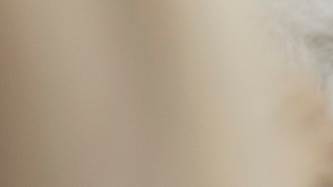 El presidente Trump visitó Utah el lunes.