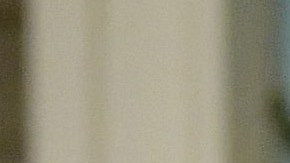 El presidente Trump estuvo acompañado del vicepresidente Mike Pence.