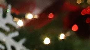 Melania Trump rompe el protocolo