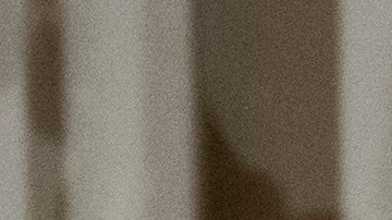 El presidente Trump y su yerno se ahorrarán millones de dólares con reforma tributaria.