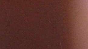 María Conchita Alonso.