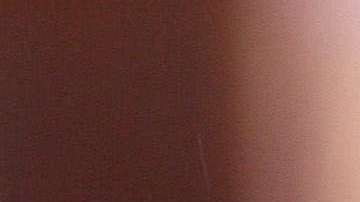 María Conchita Alonso.