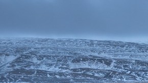Islandia es el país más pacífico del mundo.