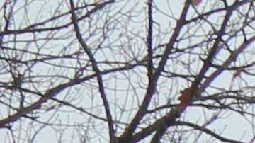 Activistas e inmigrantes de varios estados acudieron a Washington.