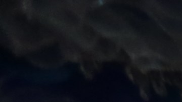 Industria navideña prospera en Nueva York.