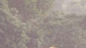 Dwayne Johnson estrena Jumanji: Bienvenidos a la jungla