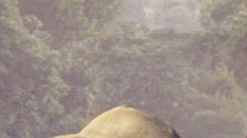 Dwayne Johnson estrena Jumanji: Bienvenidos a la jungla