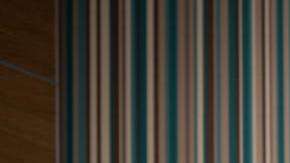 Helena Mueller con su perrita Cockapoo, Lola.